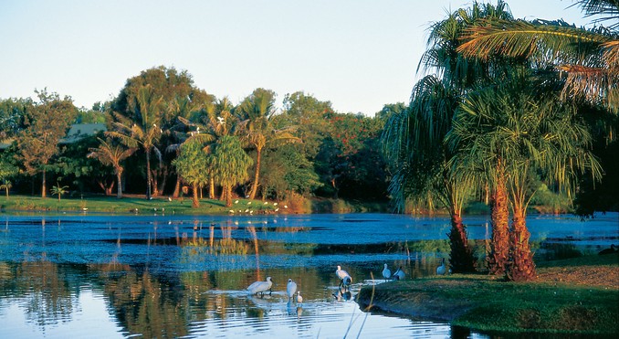 Image courtesy of Tourism Queensland