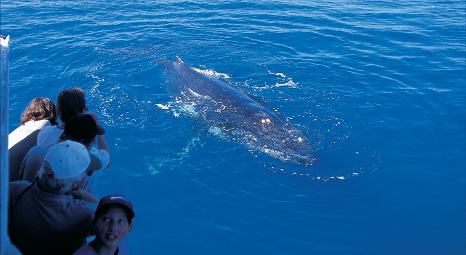 Image courtesy of Tourism Queensland