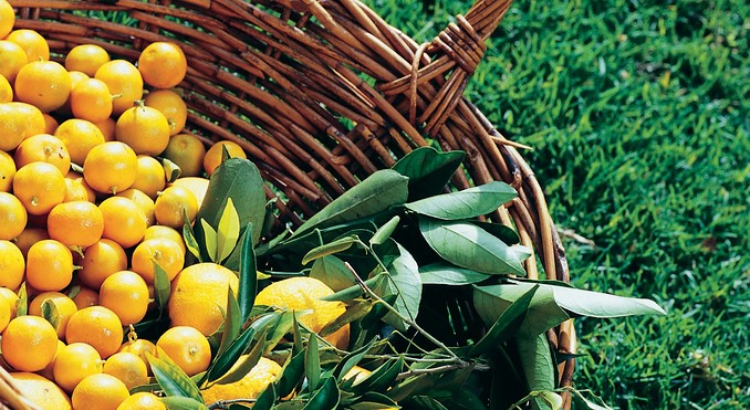 Image courtesy of Tourism Queensland