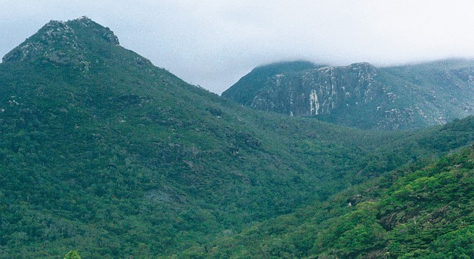 Image courtesy of Tourism Queensland
