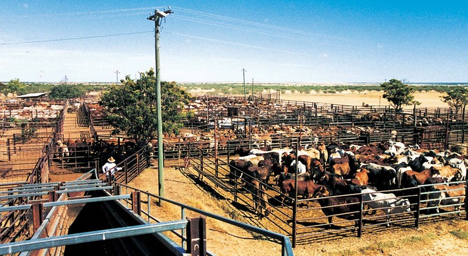 Image courtesy of Tourism Queensland