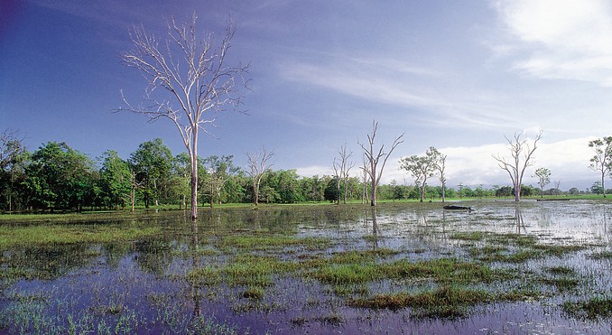 Image courtesy of Tourism Queensland