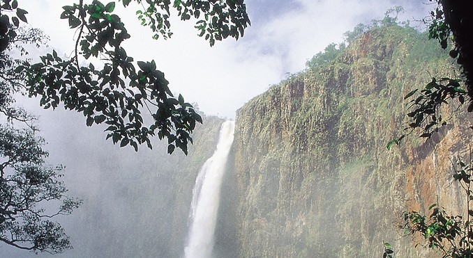 Image courtesy of Tourism Queensland