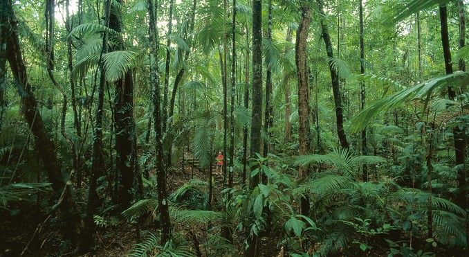 Image courtesy of Tourism Queensland