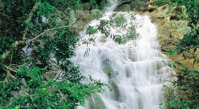 Image courtesy of Tourism Queensland