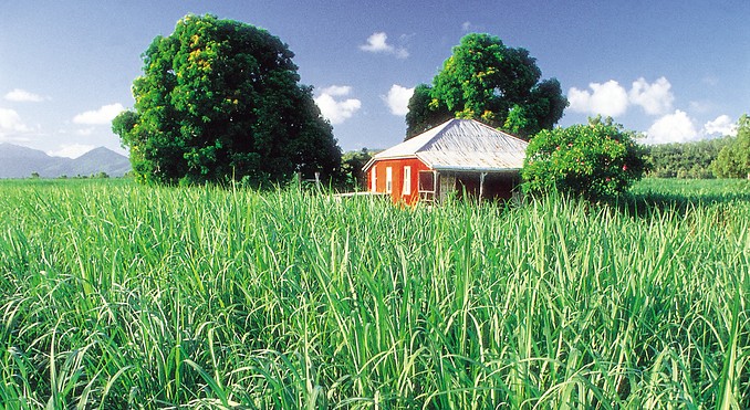 Image courtesy of Tourism Queensland