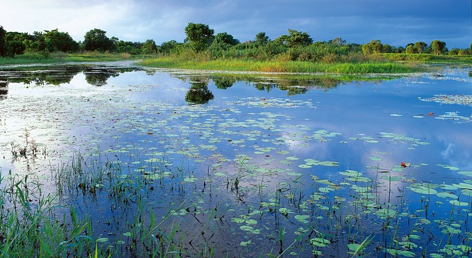 Image courtesy of Tourism Queensland