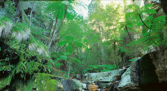 Image courtesy of Tourism Queensland