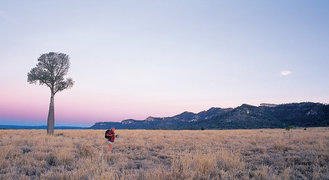 Image courtesy of Tourism Queensland