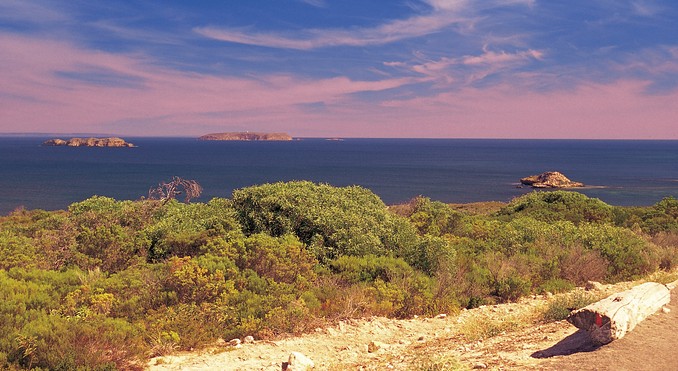 Image courtesy of South Australia