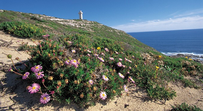 Image courtesy of South Australia