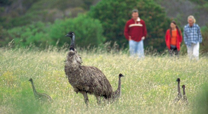 Image courtesy of South Australia