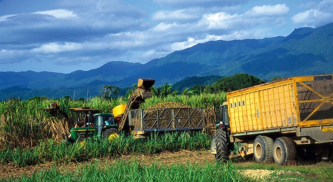 Image courtesy of Tourism Queensland