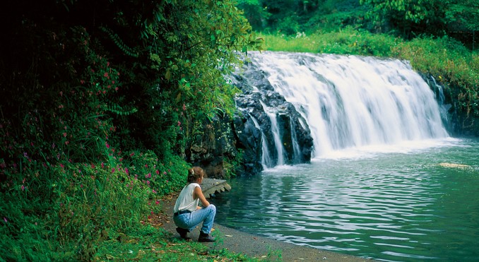 Image courtesy of Tourism Queensland