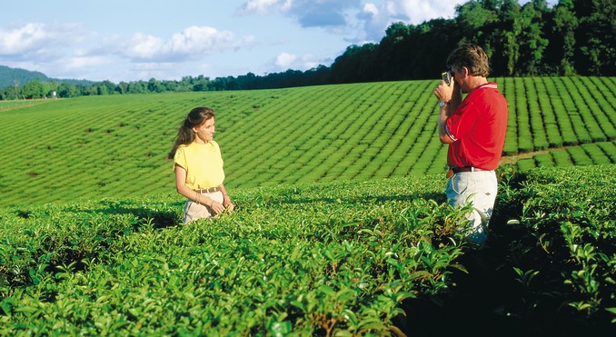 Image courtesy of Tourism Queensland
