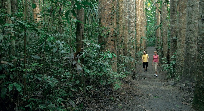 Image courtesy of Tourism Queensland