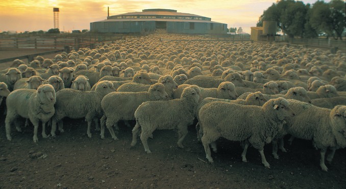 Image courtesy of Tourism Queensland