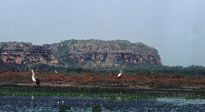 Image courtesy of Tourism NT