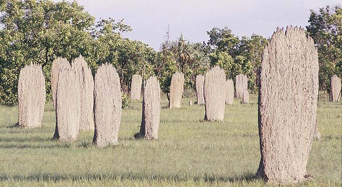 Image courtesy of Tourism NT