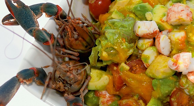 Image courtesy of Tourism Queensland