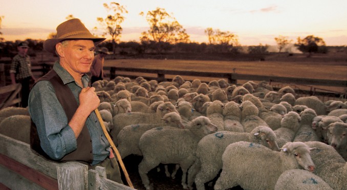 Image courtesy of Tourism Queensland