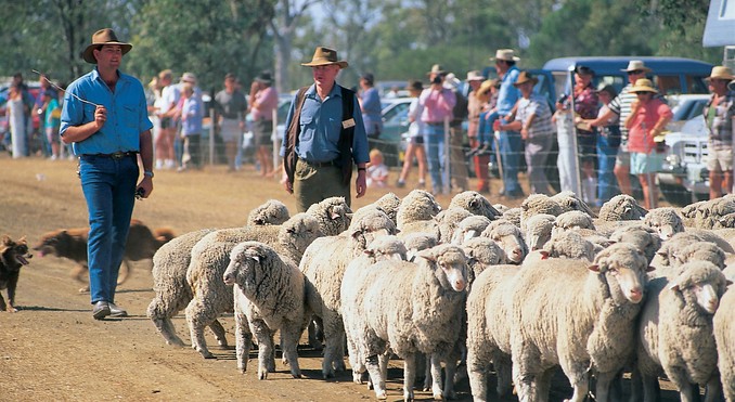 Image courtesy of Tourism Queensland