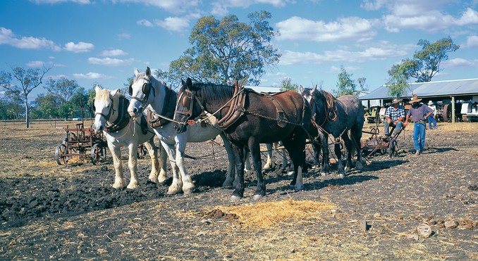 Image courtesy of Tourism Queensland