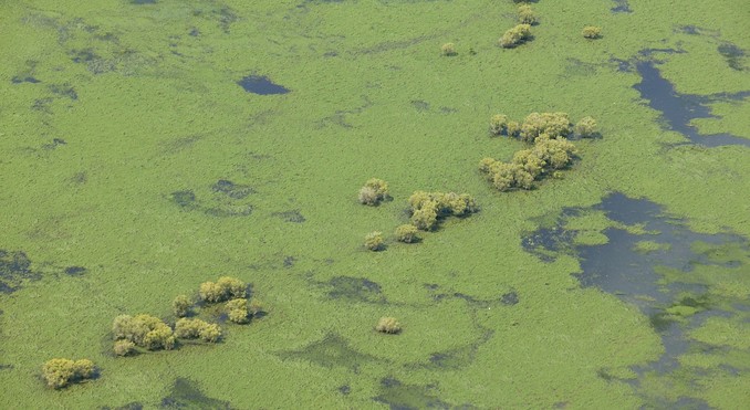 Image courtesy of Tourism NT