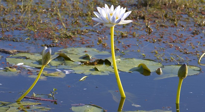 Image courtesy of Tourism NT
