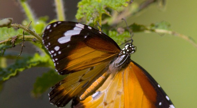 Image courtesy of Tourism NT