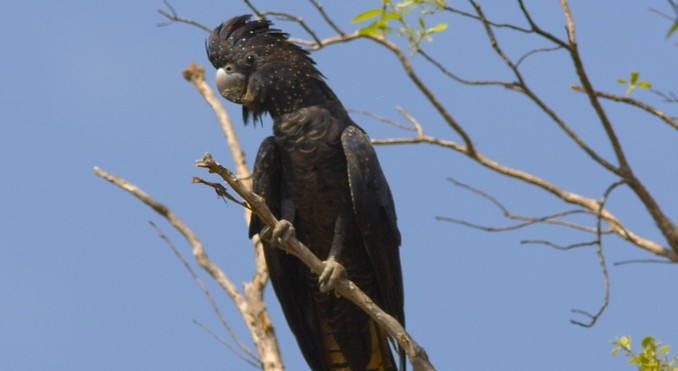 Image courtesy of Tourism NT