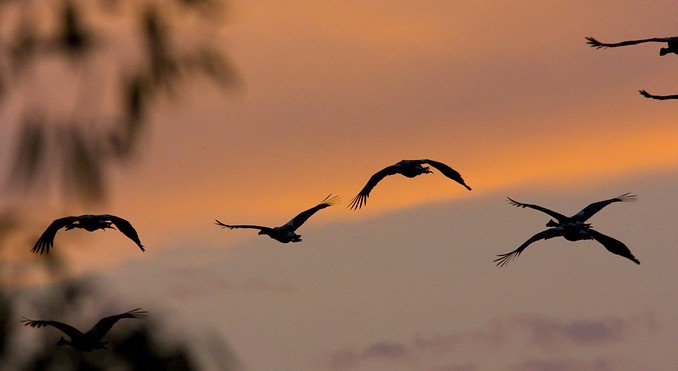 Image courtesy of Tourism NT