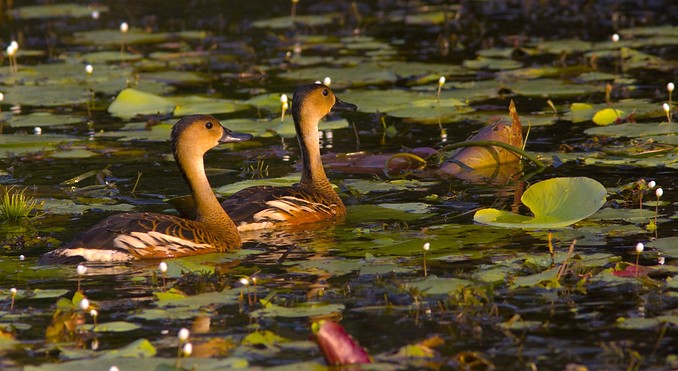 Image courtesy of Tourism NT