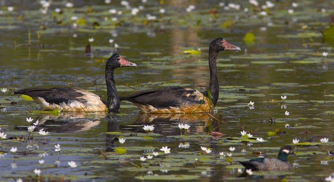 Image courtesy of Tourism NT