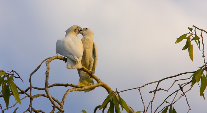 Image courtesy of Tourism NT