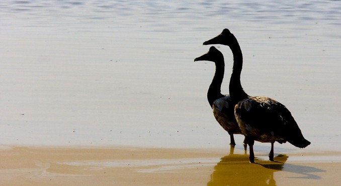 Image courtesy of Tourism NT