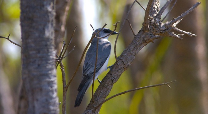 Image courtesy of Tourism NT