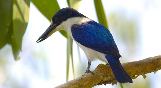 Image courtesy of Tourism NT