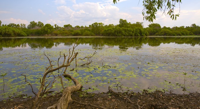 Image courtesy of Tourism NT