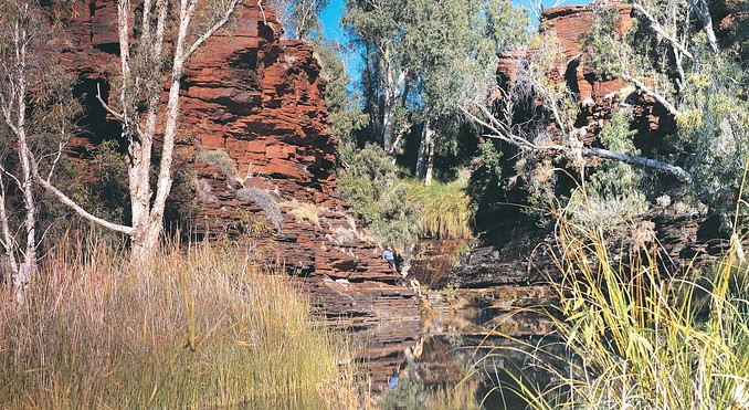 Image courtesy of Western Australia
