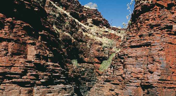 Image courtesy of Western Australia