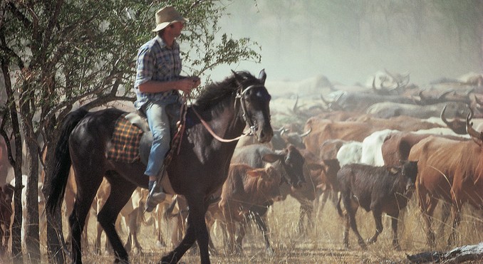 Image courtesy of Tourism Queensland