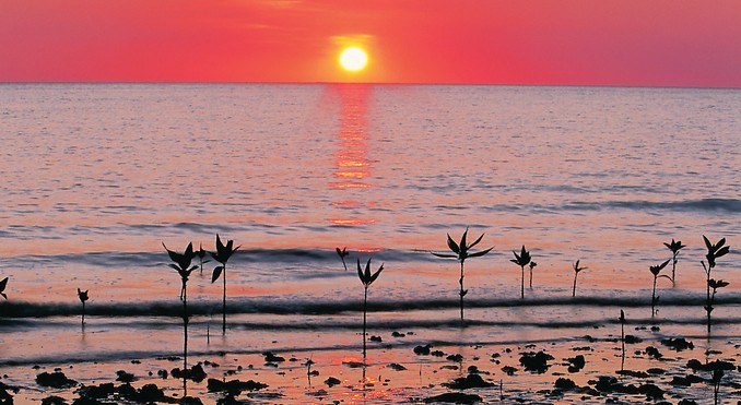 Image courtesy of Tourism Queensland