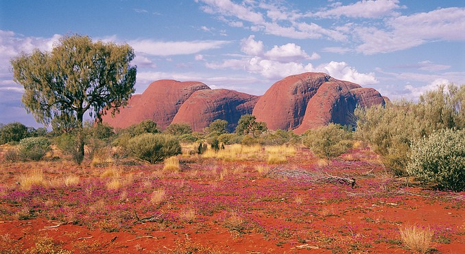 Image courtesy of Tourism NT