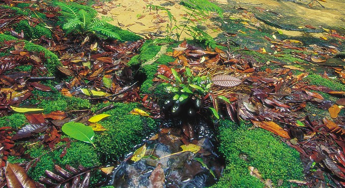 Image courtesy of Tourism New South Wales