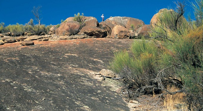 Image courtesy of Western Australia