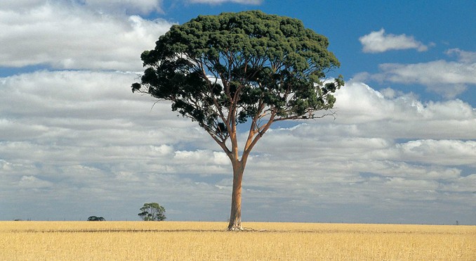 Image courtesy of Western Australia