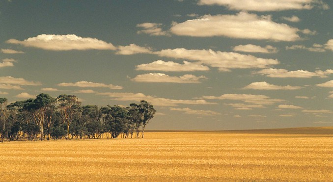 Image courtesy of Western Australia