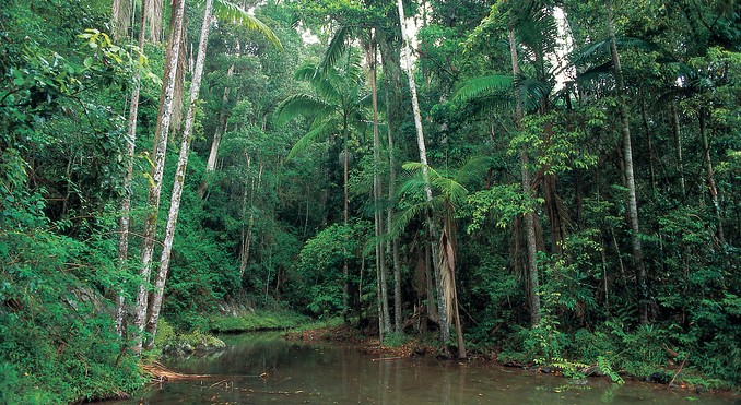 Image courtesy of Tourism Queensland
