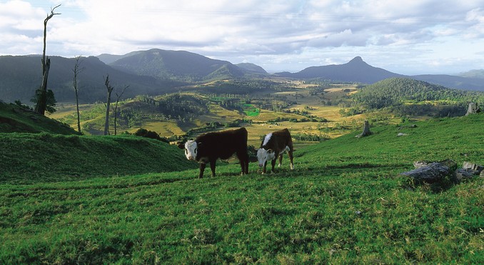 Image courtesy of Tourism Queensland